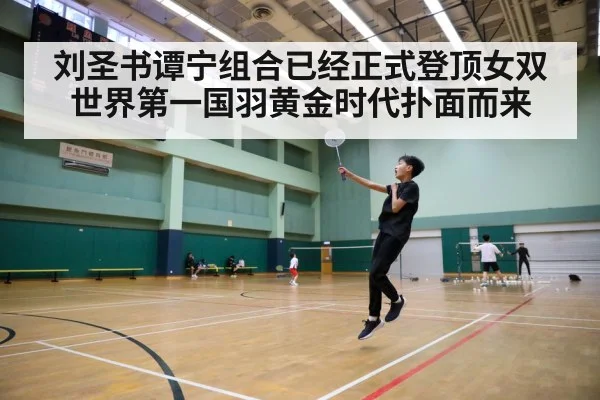 badminton court action